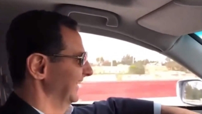 صورة من مقطع فيديو للأسد