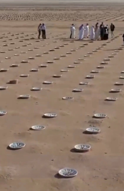 الوفد في المحمية