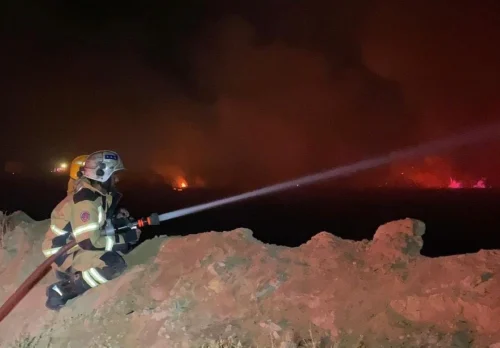 3 فرق إطفاء سيطرت على حريق أشجار بالقرب من 'صباح الأحمد' 2 3 فرق إطفاء سيطرت على حريق أشجار بالقرب من 'صباح الأحمد'