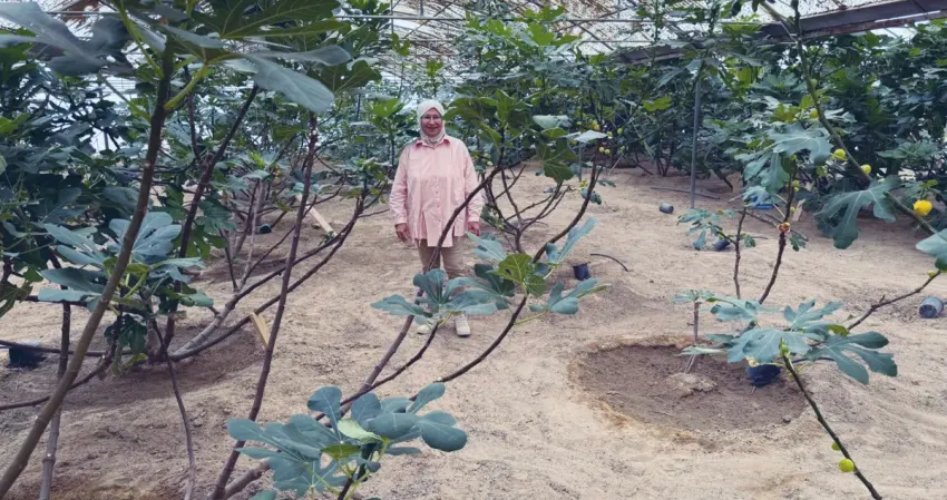 أخت المزارعين 'أم براك' نموذج رائع للمزارعة الكويتية