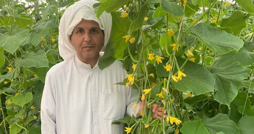 المطيري: ضاعفنا إنتاجية الخيار المعلّق في المتر المربع