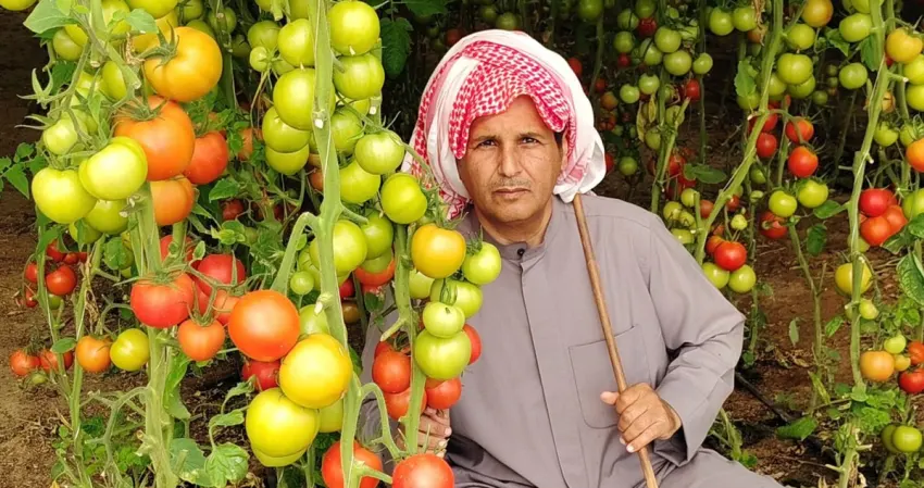 المطيري: محفظة التمويل... وراء تطورنا الزراعي