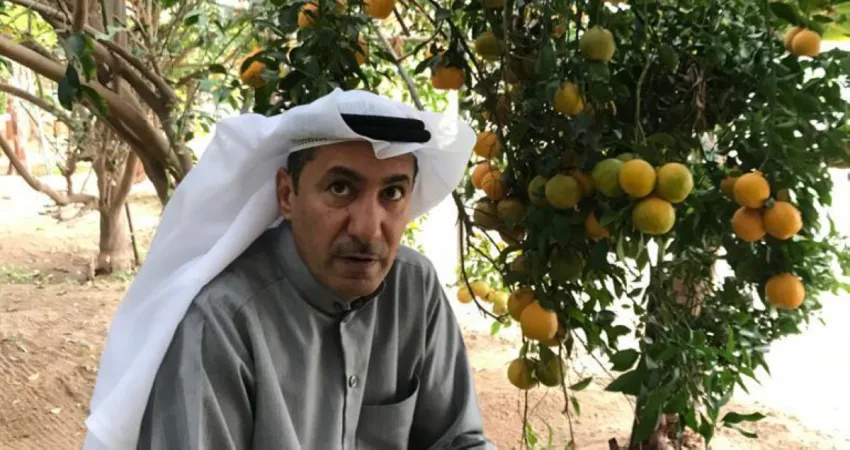 الأيادي الخضراء