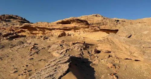 'جيوبارك الكويت' متحف طبيعي لتطور المنطقة عبر ملايين السنين 6 'جيوبارك الكويت' متحف طبيعي لتطور المنطقة عبر ملايين السنين