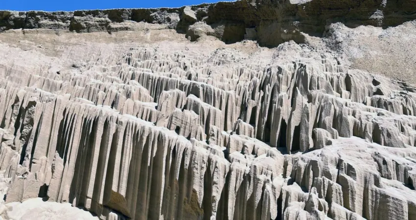 'جيوبارك الكويت' متحف طبيعي لتطور المنطقة عبر ملايين السنين 2 'جيوبارك الكويت' متحف طبيعي لتطور المنطقة عبر ملايين السنين