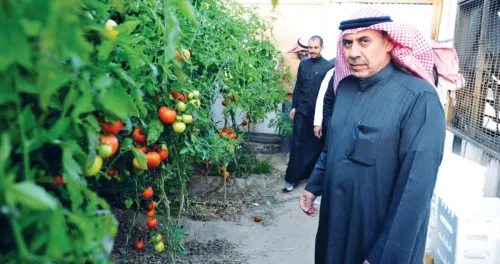 الرشيدي: تقنين المستورد يسهم فعلياً بحل مشكلة التسويق المحلي 4 الرشيدي: تقنين المستورد يسهم فعلياً بحل مشكلة التسويق المحلي