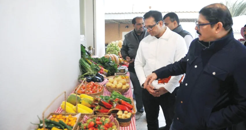 الرشيدي: تقنين المستورد يسهم فعلياً بحل مشكلة التسويق المحلي 2 الرشيدي: تقنين المستورد يسهم فعلياً بحل مشكلة التسويق المحلي