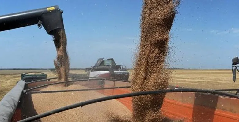 روسيا تدخل قائمة أكبر مصدري القمح إلى البرازيل