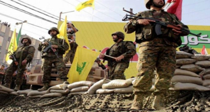 عناصر مسلحة من حزب الله ( الوطن)