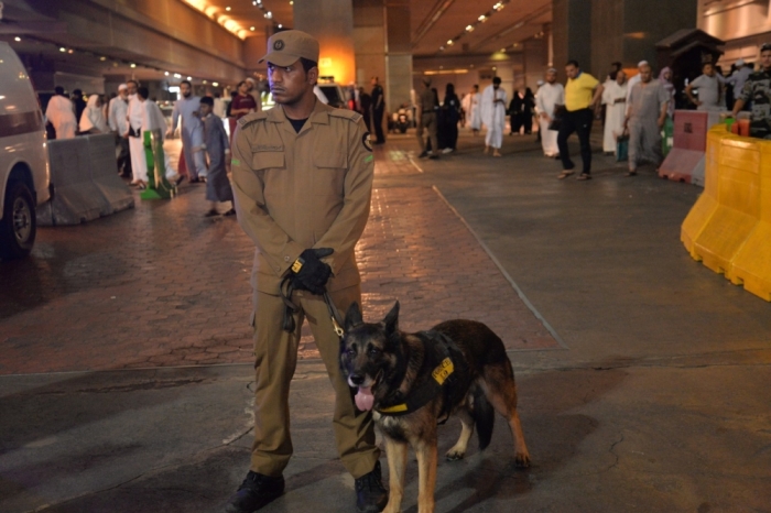 الـk9 الكلاب البوليسية أحد أهم الأجهزة الكشف الحية في الموقع (تصوير: عمران محمد)