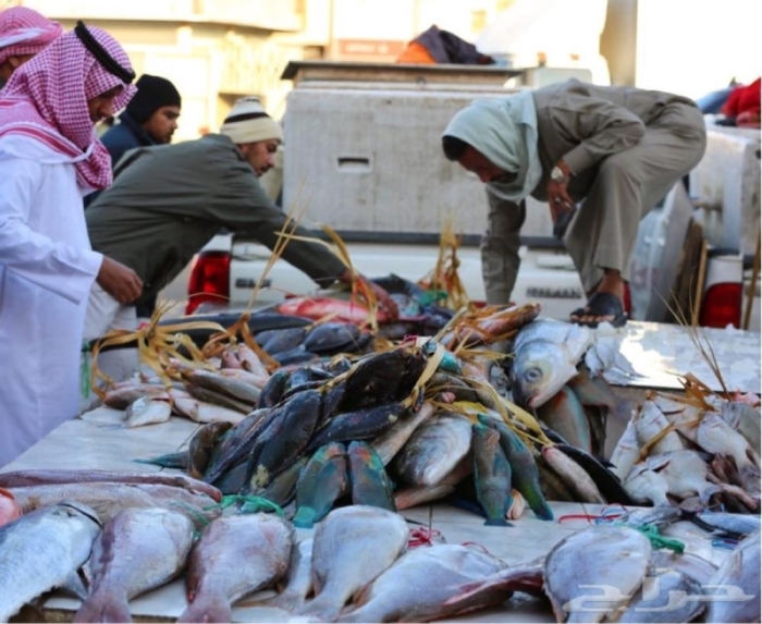 سوق السمك في محافظة رابغ