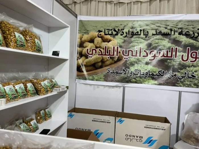 سعودي ينجح في زراعة الفول السوداني بالقصيم - صور 6 1088811