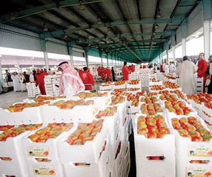 43 % من طماطم أسواق الرياض ملوثة بالمبيدات