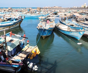 الحوثي يزعم انحياز كامرت للتملص من اتفاق السويد