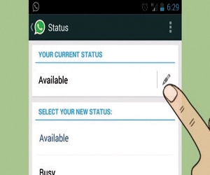 إعادة الحالة النصية في whatsapp