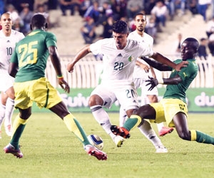 المؤامرات تفسخ عقد مدرب الجزائر