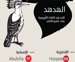 رحلة الكلمات العربية في اللغات الأوروبية