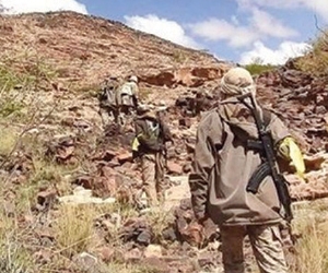 الجيش الوطني يحرر سلسلة جبال شمال صعدة
