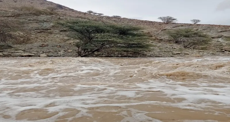 «منخفض الوبل»: أمطار متفاوتة الغزارة على المحافظات الشمالية وجريان عدد من الأودية