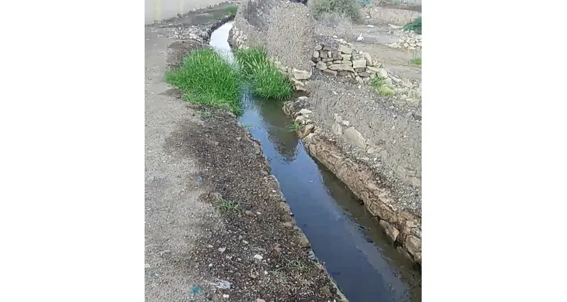 بعد انقطاع دام أكثر من 25 سنة .. فلج العين ينبض بالحياة ويروي بساتين ولاية ينقل
