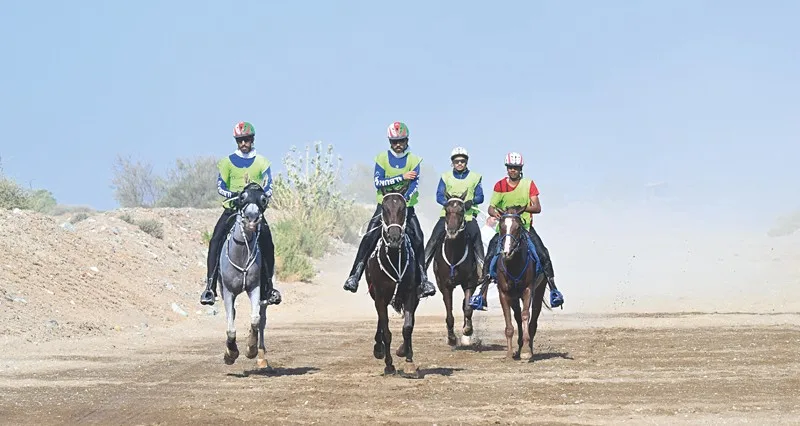 منافسة مثيرة يشهدها سباق مهرجان صحار للقدرة والتحمل لمسافة 100كم