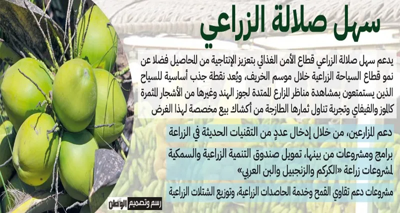 سهل صلالة الزراعي نموذج للإنتاجية والاستدامة الاقتصادية