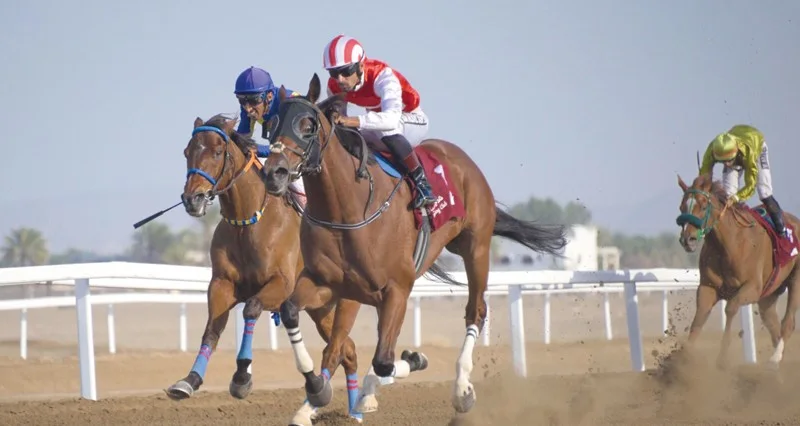الحصان ديوتي يتوج بكأس الخيول المهجنة وبلاست أوف يظفر بكأس الخيول العربية وصحار يحقق كأس خيول الإنتاج المحلي