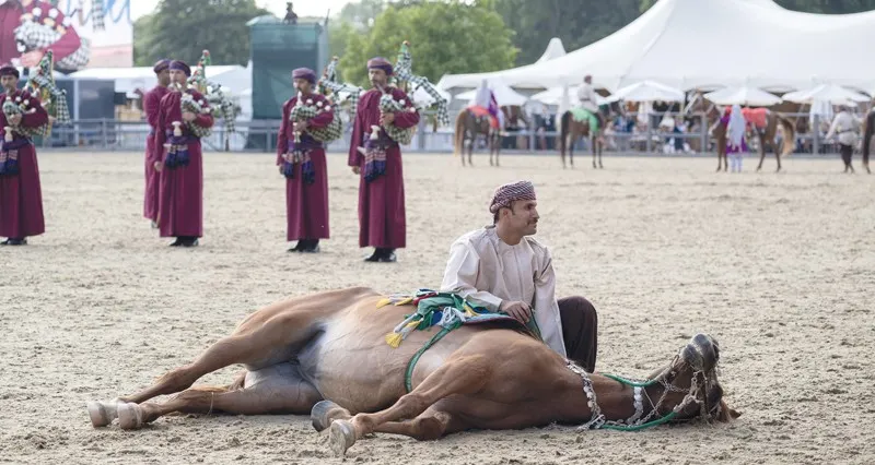 الخيالة السلطانية تختتم مشاركتها فـي عرض وندسور الملكي للخيول