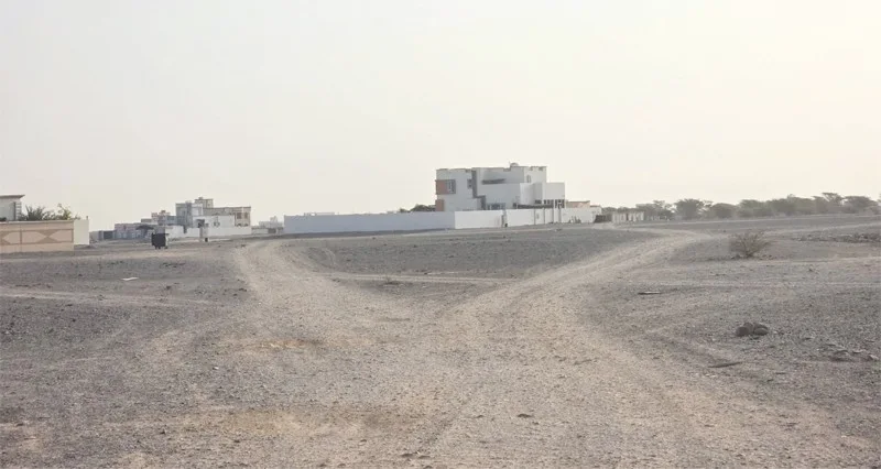 حصاد الأسبوع