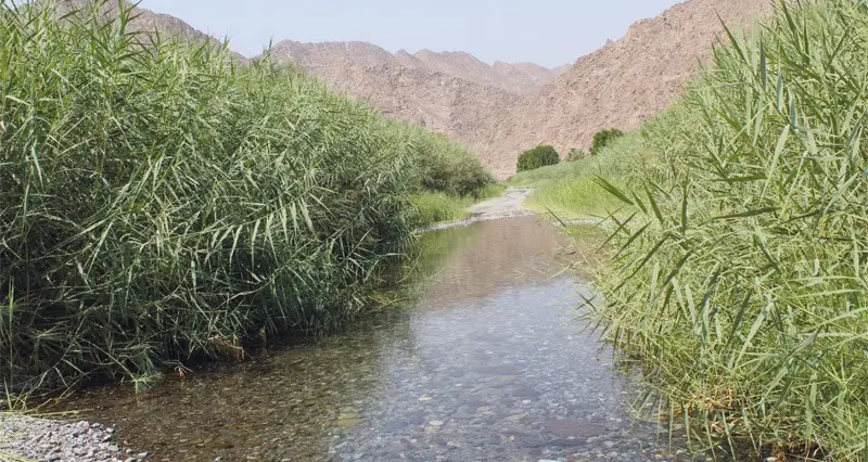 وادي الأبيض بولاية نخل مقصد سياحي لزوار محافظة جنوب الباطنة