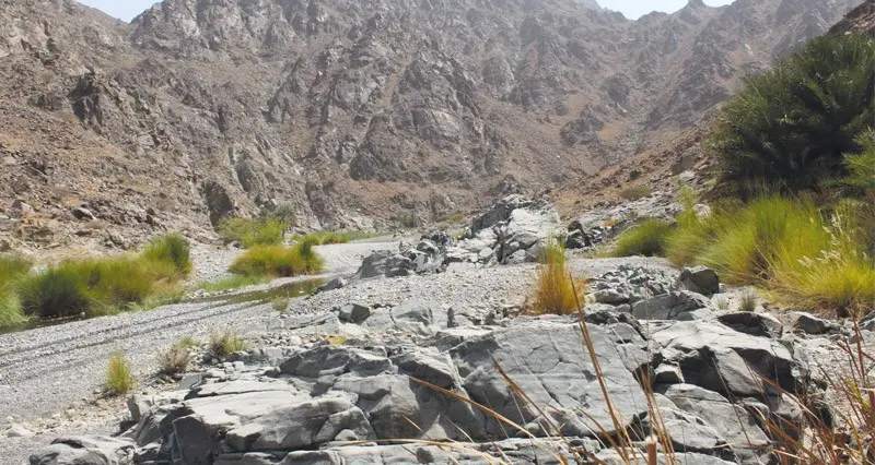 وادي الأبيض بولاية نخل مقصد سياحي لزوار محافظة جنوب الباطنة