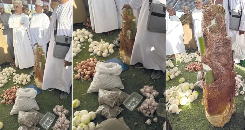 لب النخيل بـ١٧ ريالا فـي سوق مسلمات بوادي المعاول