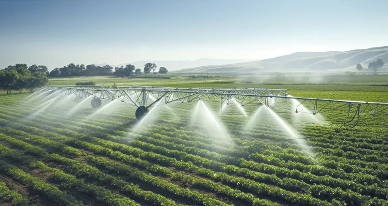 «الإسكان» تصدر قرارا ينظم البناء على الأراضي الزراعية