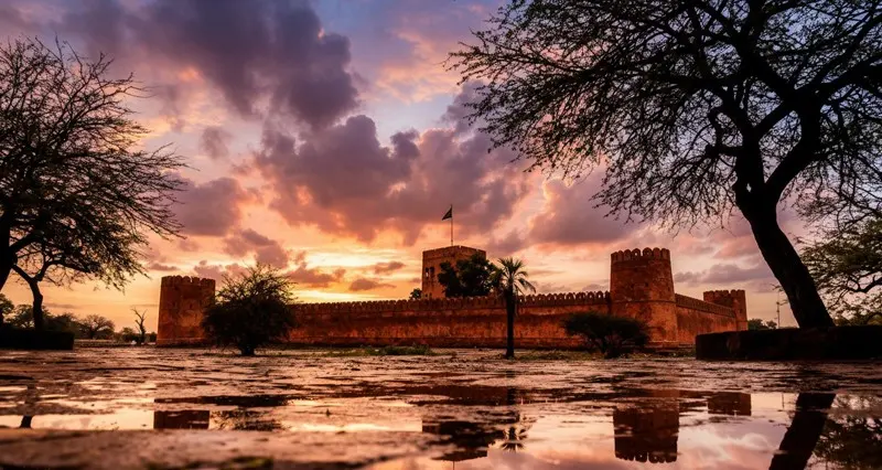 مهرجان الباطنة السينمائي الدولي يواصل عرض أفلامه السينمائية