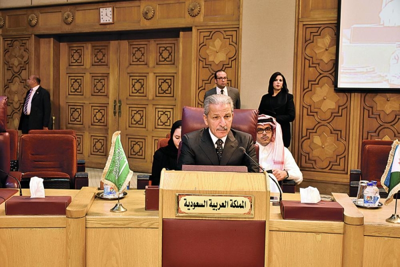 الخارجية تؤكد على الأهمية الاستثنائية لقمة الرياض العربية