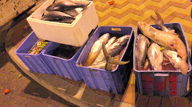 ضبط 600 كيلو من الأسماك مجهولة المصدر بالخبر
