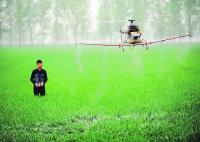 التكنولوجيا الرقمية فرص واعدة للزراعة والأمن الغذائي