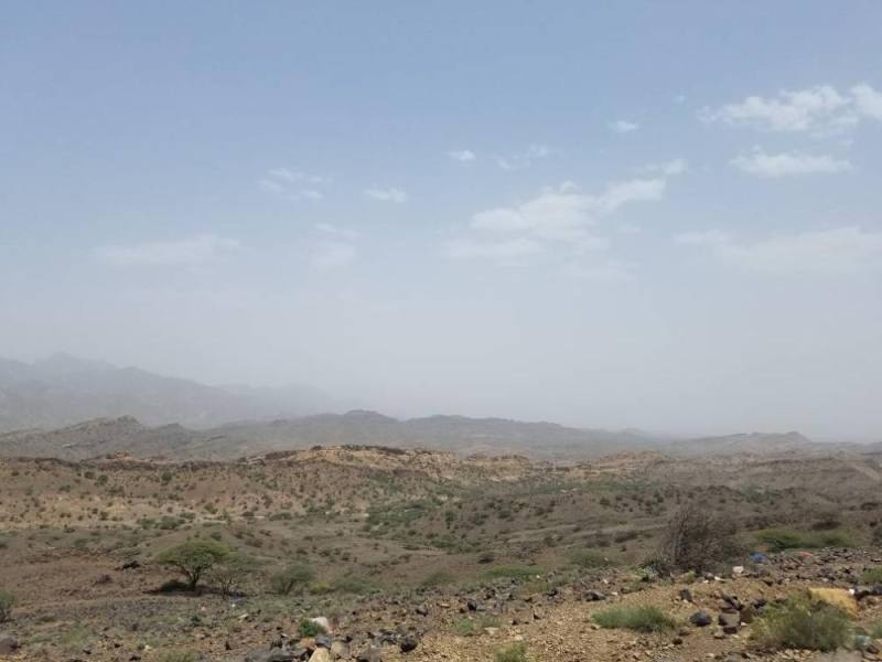 الجيش اليمني يحرر سلسة ‏جبلية في نهم