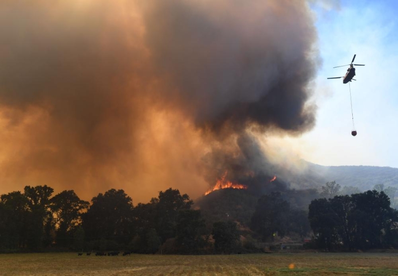 كاليفورنيا تستغيث بالبيت الأبيض لمواجهة حرائق الغابات