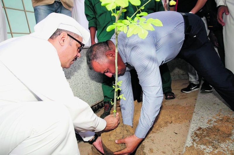 اطلاق مبادرة لزراعة 50 ألف شجرة بحاضرة الدمام