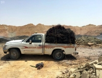 الرياض .. إحالة عمالة للنيابة تحرق النفايات بطريقة مضرة    