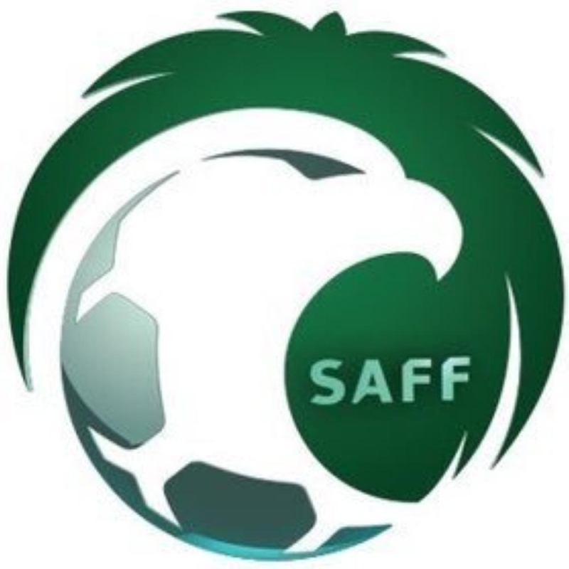 اتحاد القدم: دوري المحترفين لن يتوقف في فترة أسيا 2019