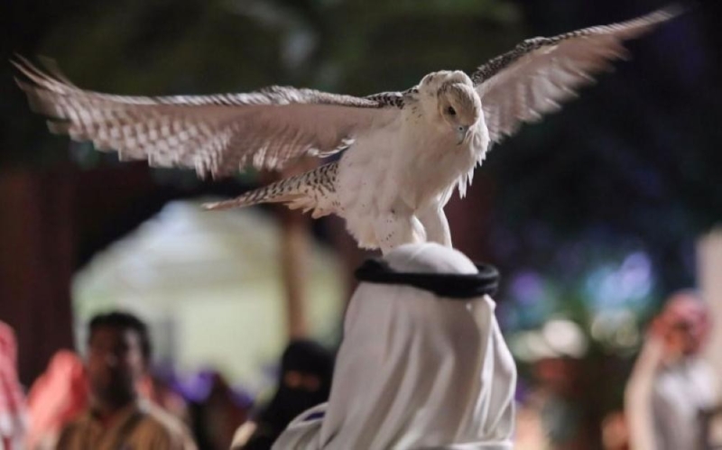 انطلاق مهرجان الملك عبدالعزيز للصقور.. غداً