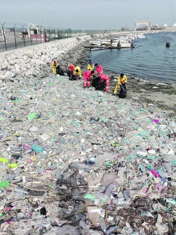 تنظيف واجهة القطيف البحرية من النفايات وعلب البلاستيك