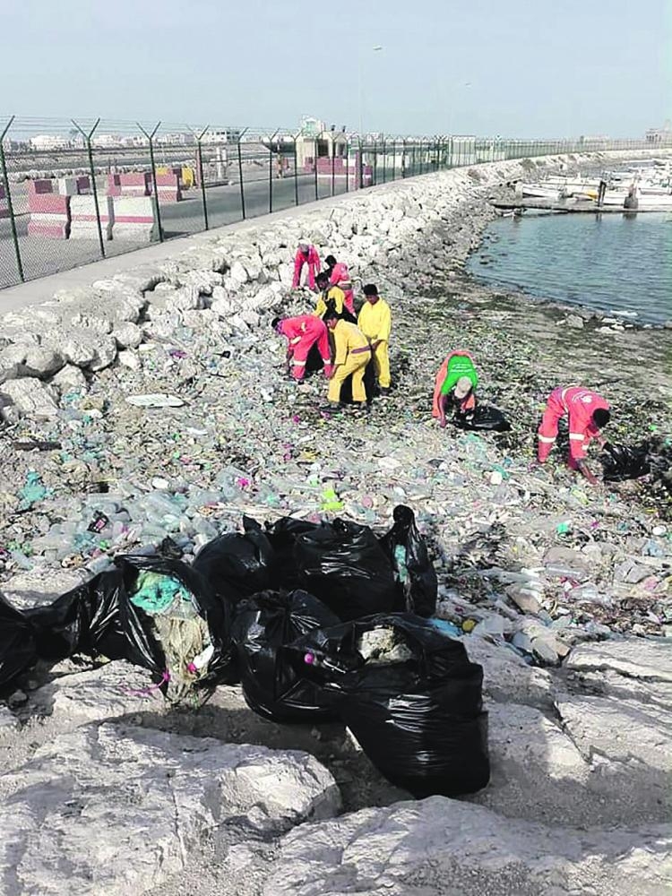 تنظيف واجهة القطيف البحرية من النفايات وعلب البلاستيك