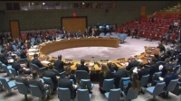 مجلس الأمن يهدد بفرض عقوبات على منفذي الهجمات في مالي
