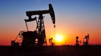 تصريحات "الفالح" و"بومبيو" تقود النفط للارتفاع