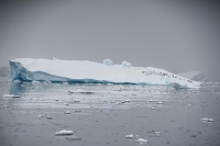 كيف يمكن إنقاذ الغطاء الجليدي للقطب الجنوبي؟