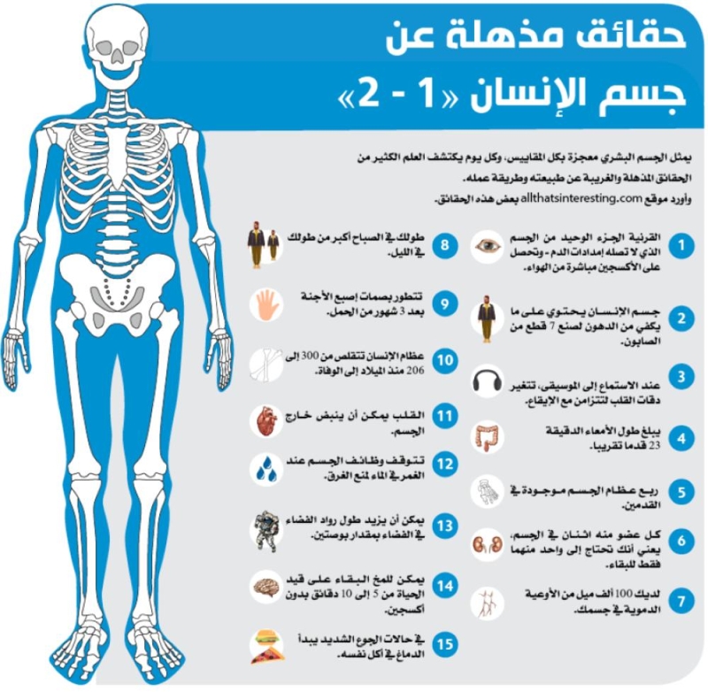 حقائق مذهلة عن جسم الإنسان (1-2)