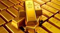الذهب يهبط مع ارتفاع الدولار لأعلى مستوى في شهرين
